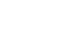 雅致园晚报